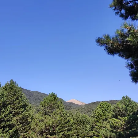 Toni Llogora ホテル *