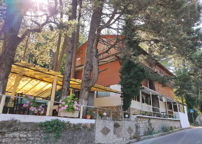 Hotell Toni Llogora