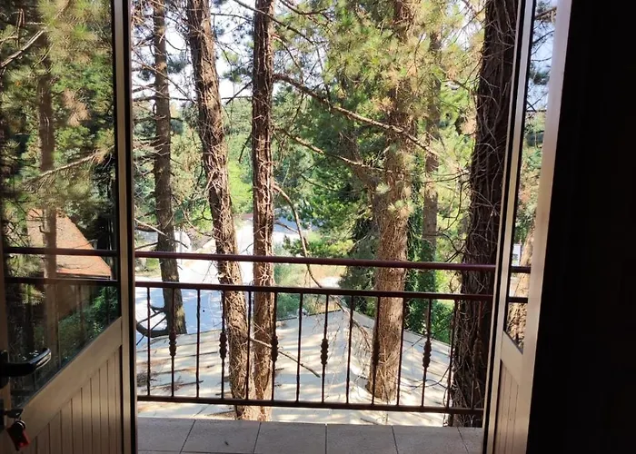 Hotell Toni Llogora Dukat