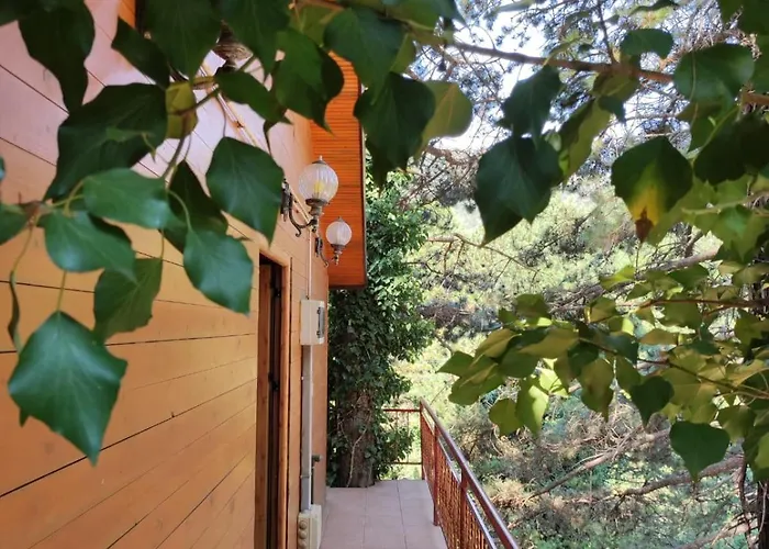 Hotell Toni Llogora