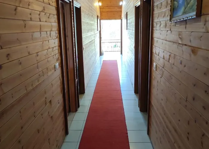 Hotell Toni Llogora *