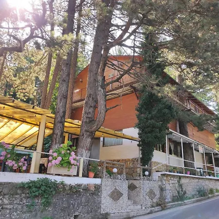 Hotel Toni Llogora