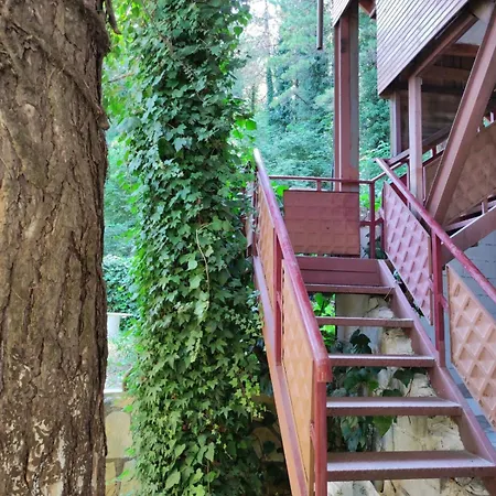 Hotel Toni Llogora *