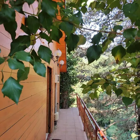 Hotel Toni Llogora